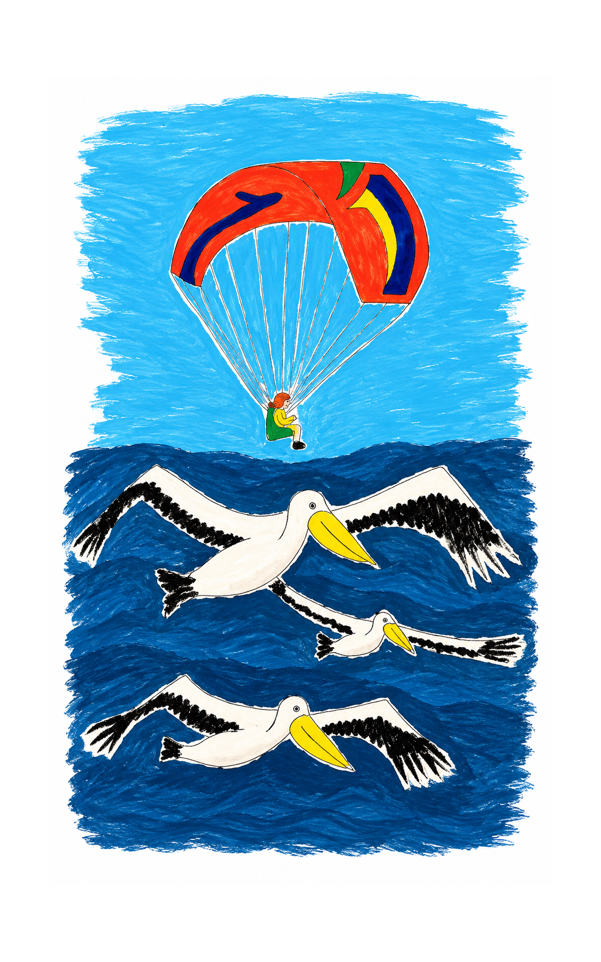 ilustracion_pelicanos_10x16_300dpi